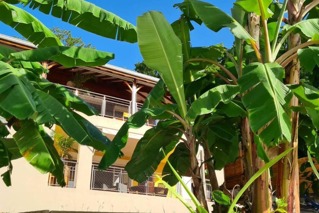Bas De Villa Piscine Petit Versailles Sainte Anne מראה חיצוני תמונה
